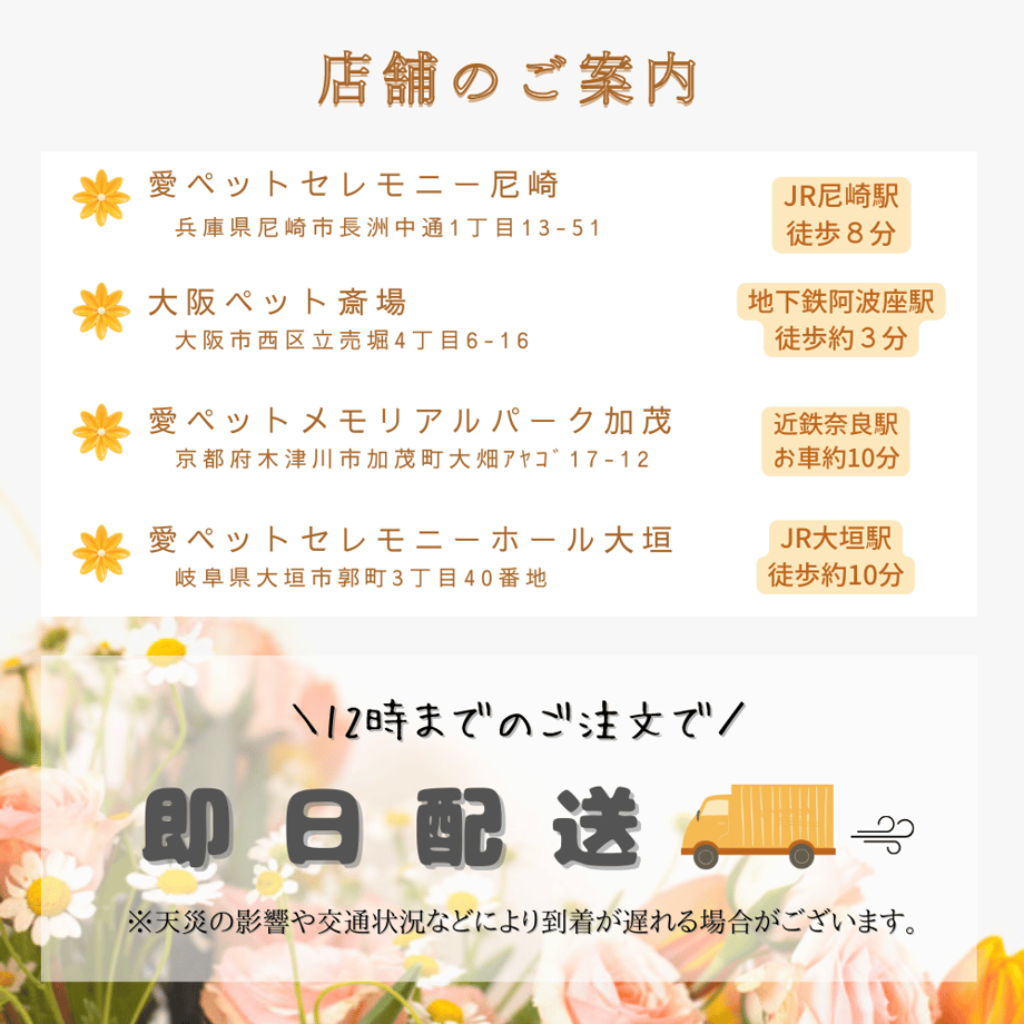 60166579c19c457ed8088c82
