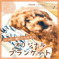 ペット　オリジナルブランケット　オーダーメイド　ふわもこ　ひざ掛け　春　夏　秋　冬