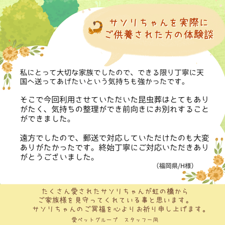 愛ペットの昆虫葬　郵送キットワイド　昆虫ちゃん５匹用（埋葬・ご供養費・郵送料込み）