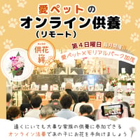 【供花：絆】愛ペットのオンライン（リモート）供養　お申込み （岐阜／大垣）　ペット　法要　供養