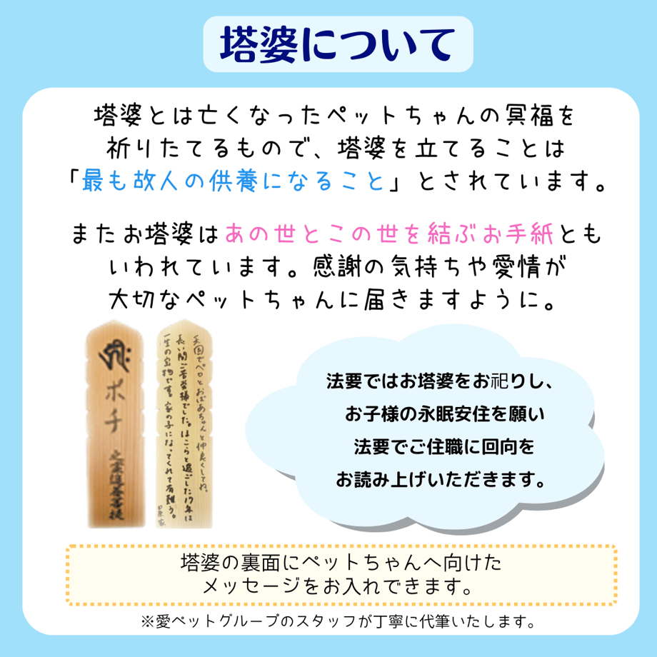 6495319db18b1e0031df01b9