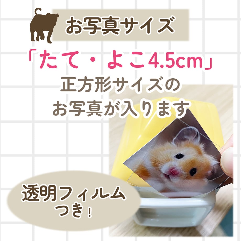 6a0bf3f18577a96dc28d641f