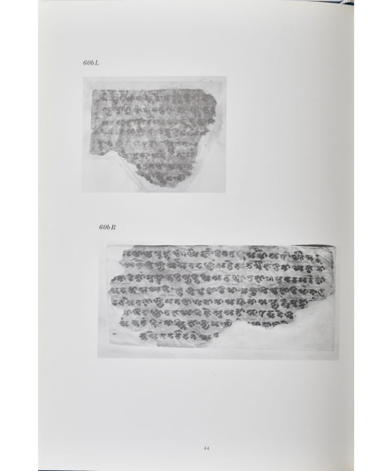 ギルギット出土法華経梵本（全2巻）