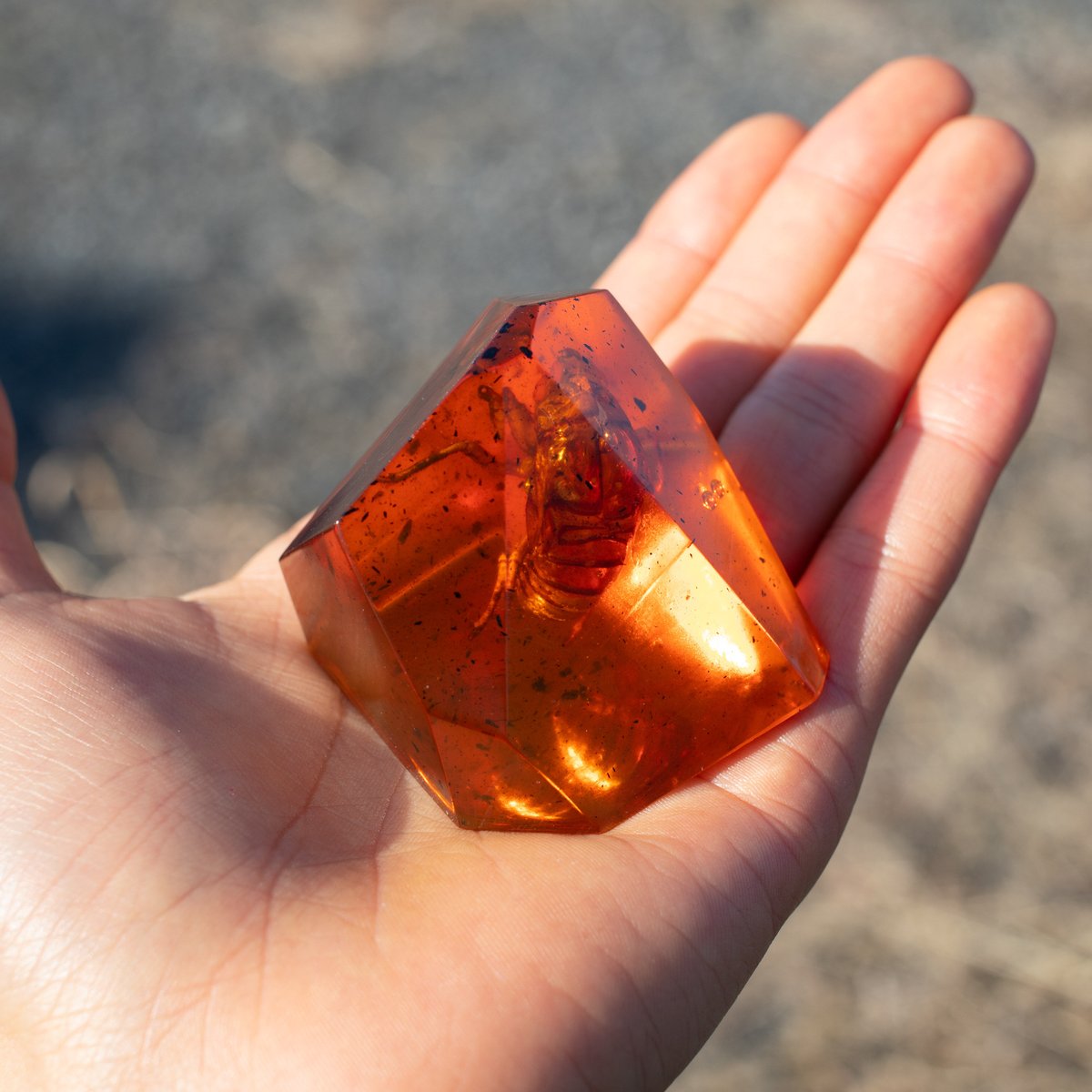 極美品 　♯105 琥珀のブローチ デンマーク製 Amazon.co.jp: zmgmsmh 5個 アンバー化石 昆虫サンプルストーン