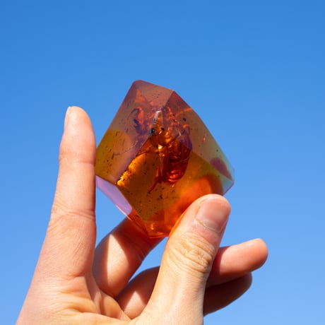 人工琥珀（セミの抜け殻Ver.）Artificial amber