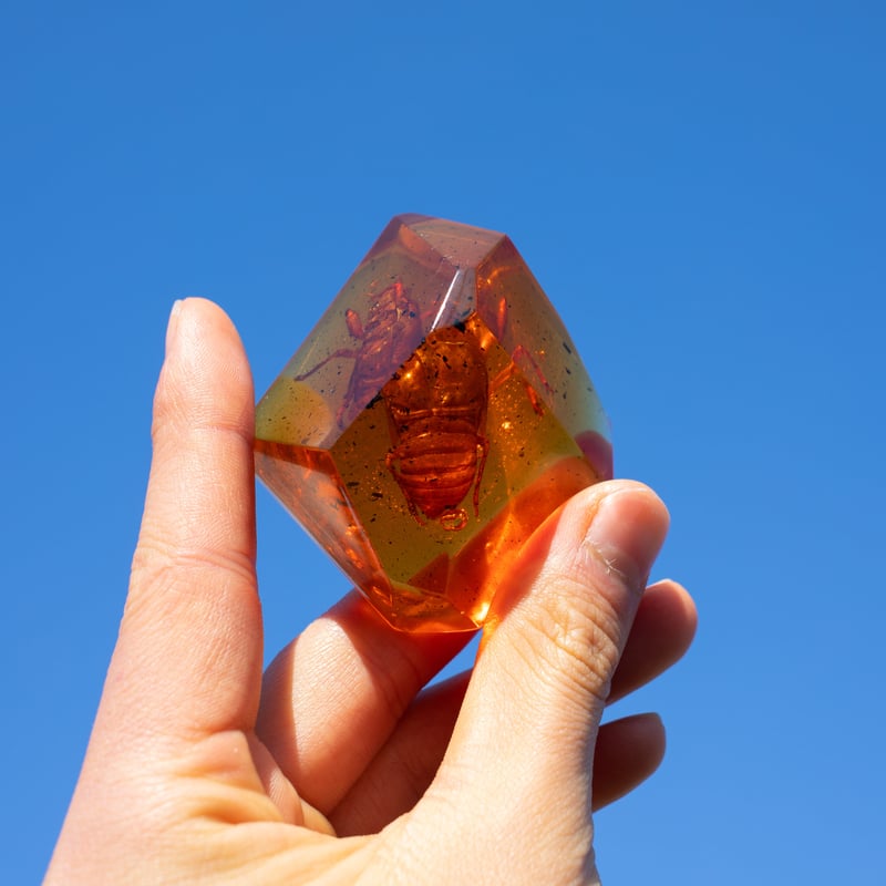 人工琥珀（セミの抜け殻Ver.）Artificial amber | nickelXP's S