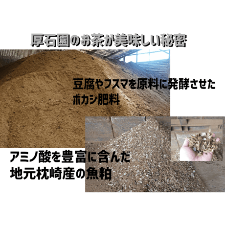 煎茶ティーバッグ(3g×12個)