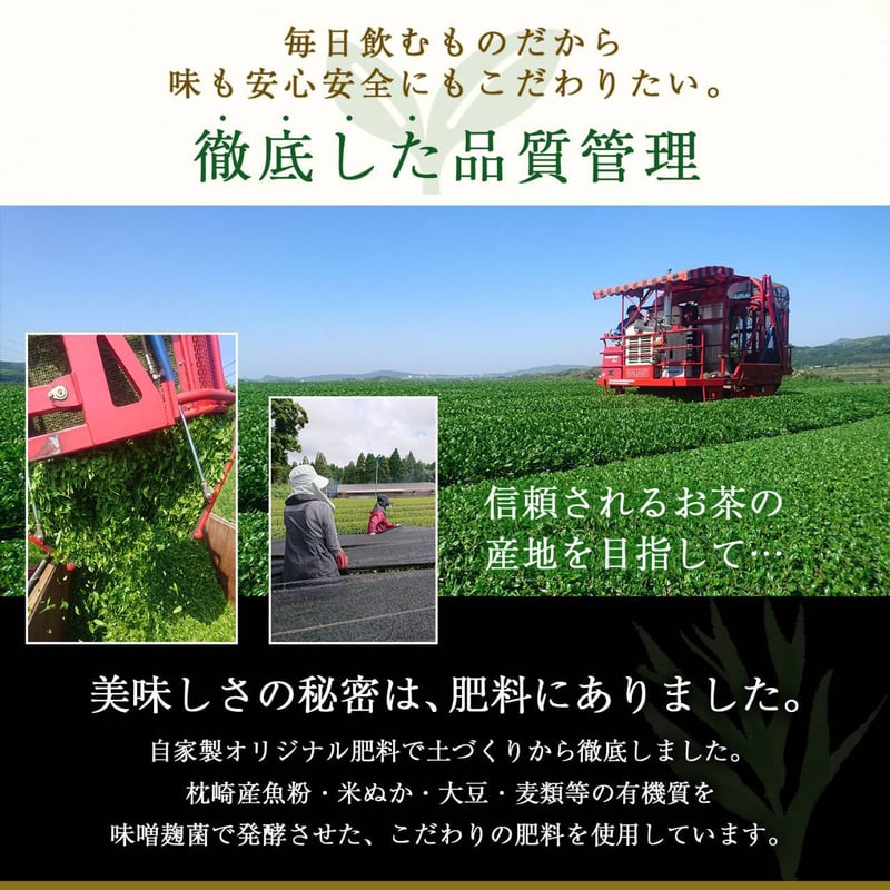 和紅茶ティーバッグ(3g×10個) | お茶の厚石園