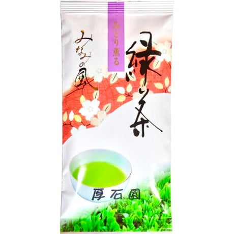 みなみの風 煎茶 100g
