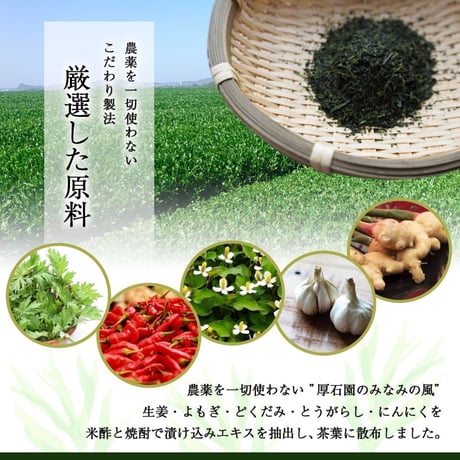 みなみの風 極上煎茶 100g