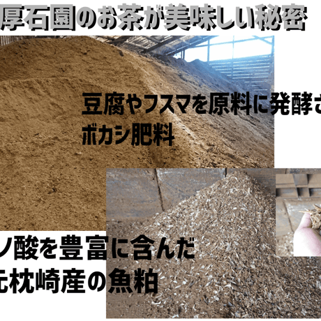 ほうじ茶ティーバッグ(3g×10個)