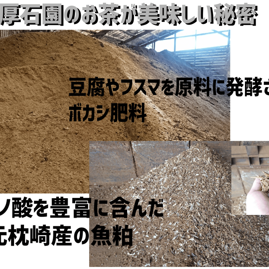 6719f1ce808e2c04e7625ffd