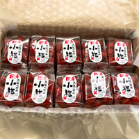元気の出る小梅　20ヶ