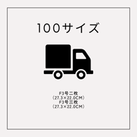送料100サイズ