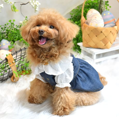 お出かけデニムワンピース