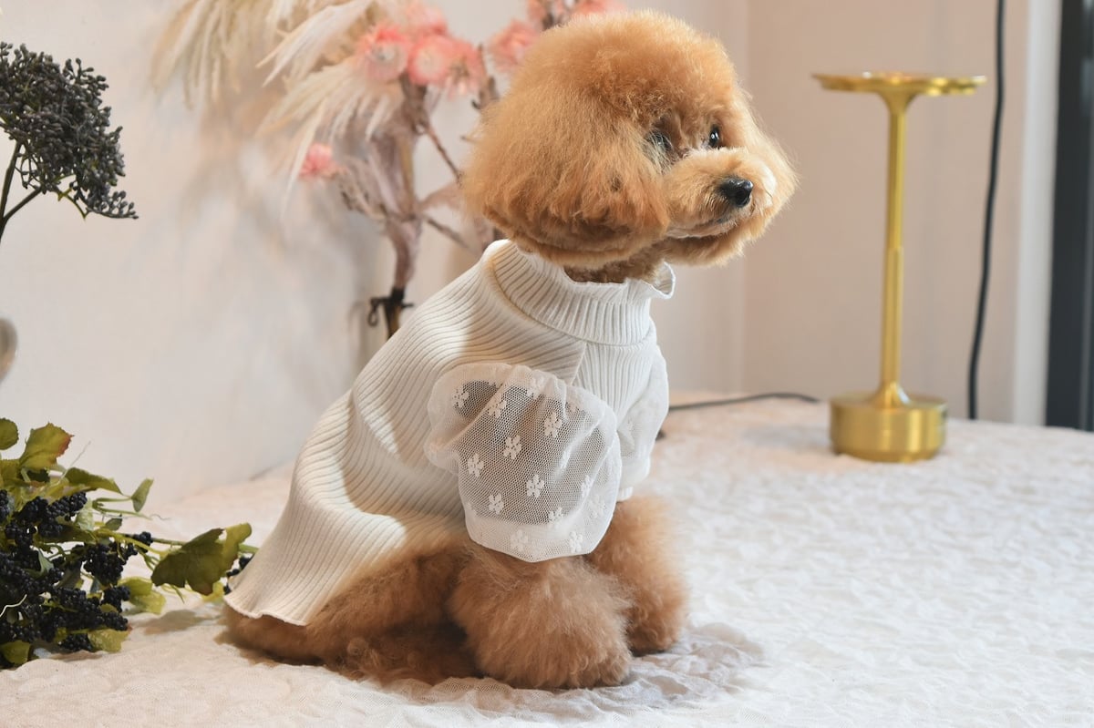 viviennewestwood チュール　チュニック リサイクルフレックス チュールワンピース(ブラック