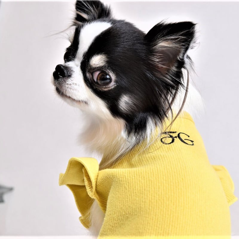 ホワイト フリル袖 Tシャツ セットアップ 楽天市場】大きいサイズ レディース トップス Tシャツ