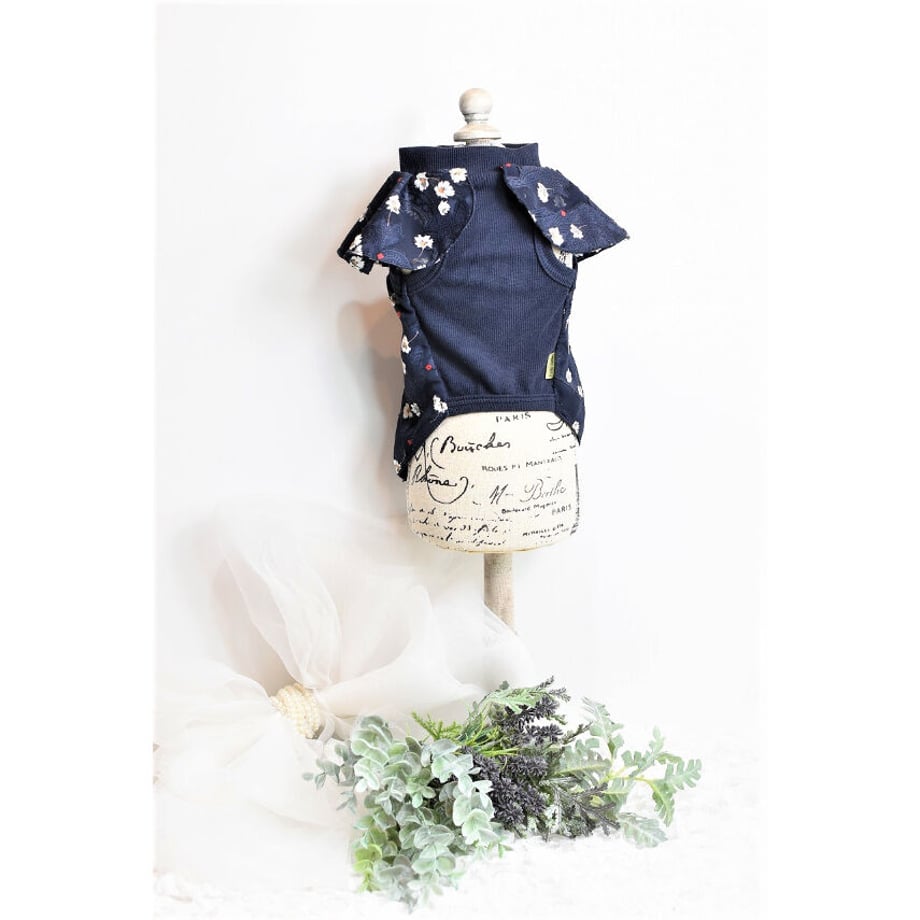 63466fb24aed1930299547e3