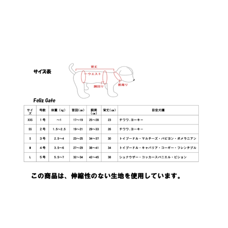 レースリボンブラウス