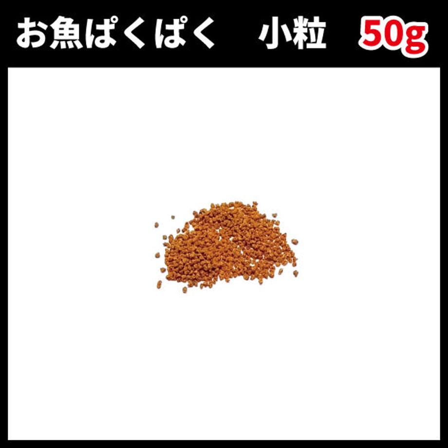 5fbca24672eb465a74634e41