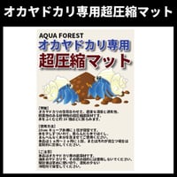 オカヤドカリ専用 超圧縮マット