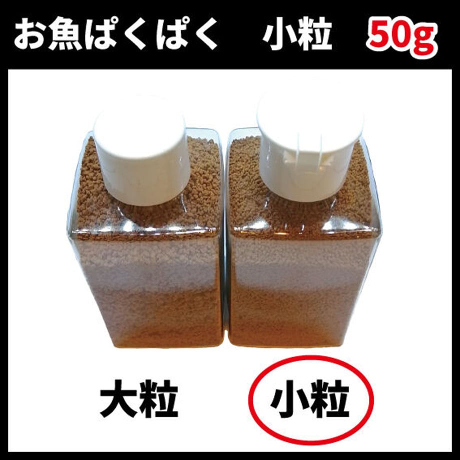 5fbca24672eb465a74634e41