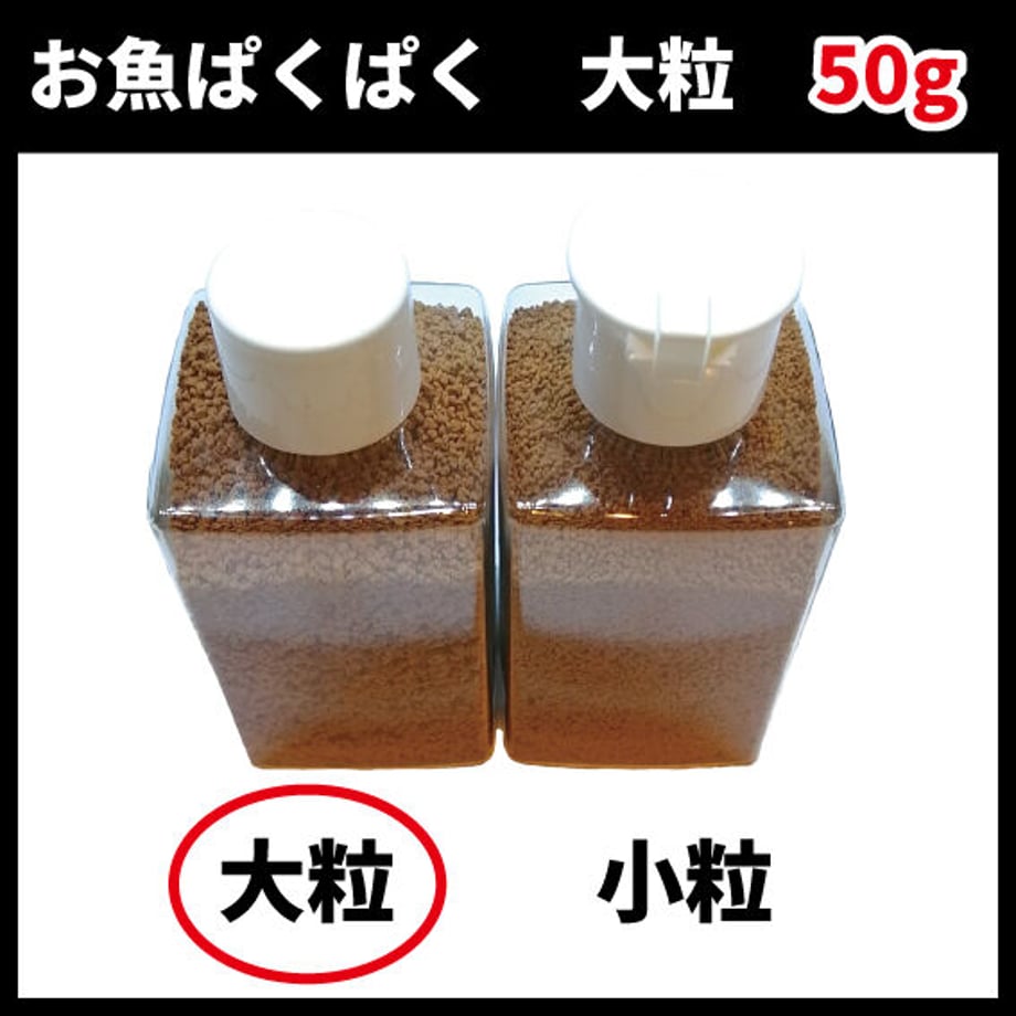 5fbca546b00aa35b5c1ab56c