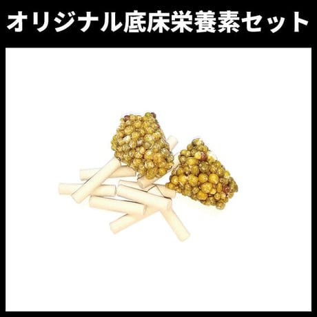 オリジナル底床栄養素セット