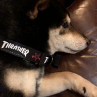 THRASHER 犬の首輪🐶