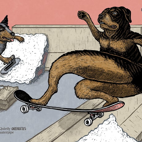 SEE SPOT SHRED