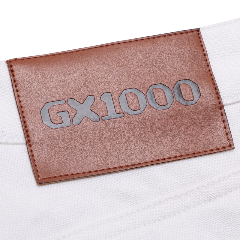 GX1000 GX1000