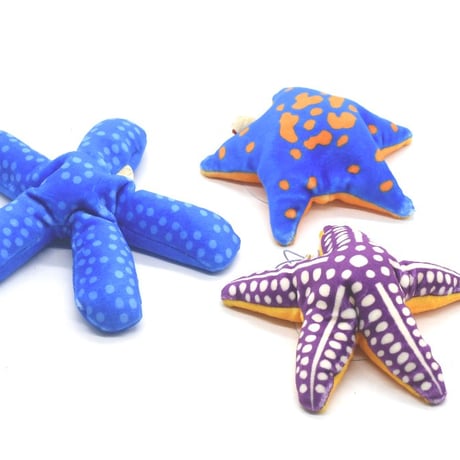 イトマキヒトデ　ミニぬいぐるみ