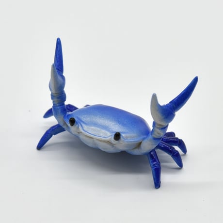 えびとカニ すさみ町立エビとカニの水族館