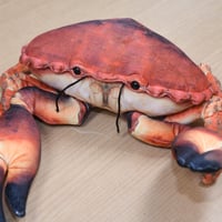 リアルシリーズ　イチョウガニ　ぬいぐるみ