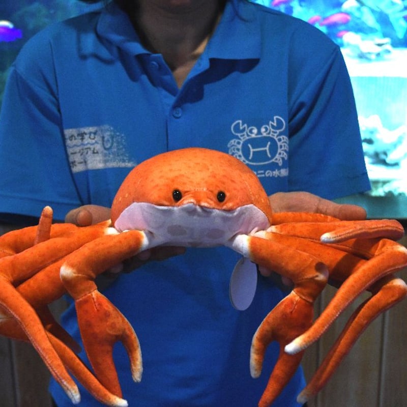  ぬいぐるみ カニ 蟹 カニのぬいぐるみ | エビとカニの水族館【公式通販】