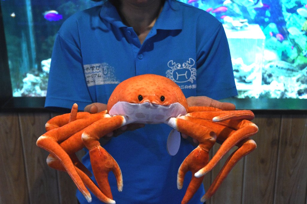 カニのぬいぐるみ | エビとカニの水族館【公式通販】