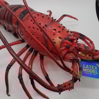 イセエビ　ラテックスぬいぐるみ