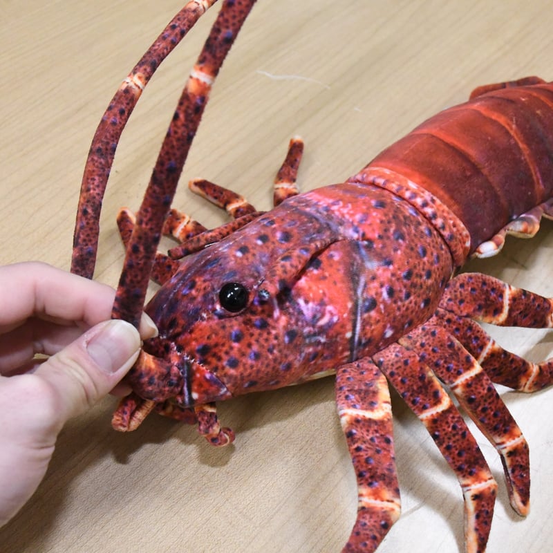 鰯金属化　イワシ金属化　イセエビ　伊勢海老　作品　フィギュア　置物　工芸 イセエビ - イワシ金属化 ／ iwashikinzokuka