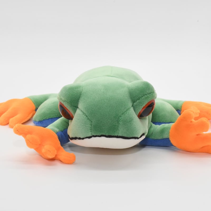 アカメアマガエルのぬいぐるみ | エビとカニの水族館【公式通販】