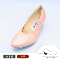 No.5005 ワイドシルバー ヒール5㎝ | 浅草仲見世トヨダヤ