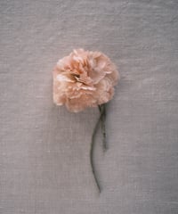 Corsage carnation flower / Accessories / Pink