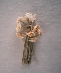 Corsage ivory flower / Accessories / Ivory