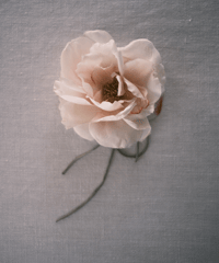Corsage peony flower / Accessories / Pale Pink