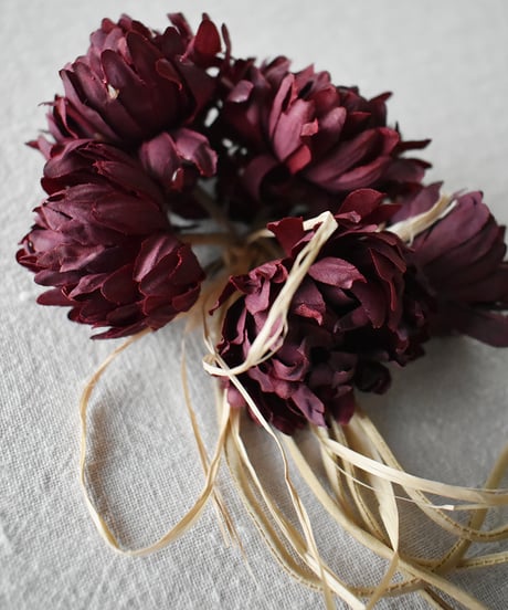 Corsage scabiosa 2 / Accessories / Burgundy