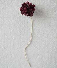 Corsage scabiosa 1 / Accessories / Burgundy