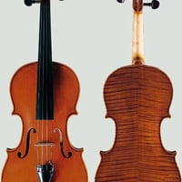Walter Sandner ドイツ バイオリン バイオリン WALTER SANDNER＃30ドイツ製バイオリン | 国際楽器社
