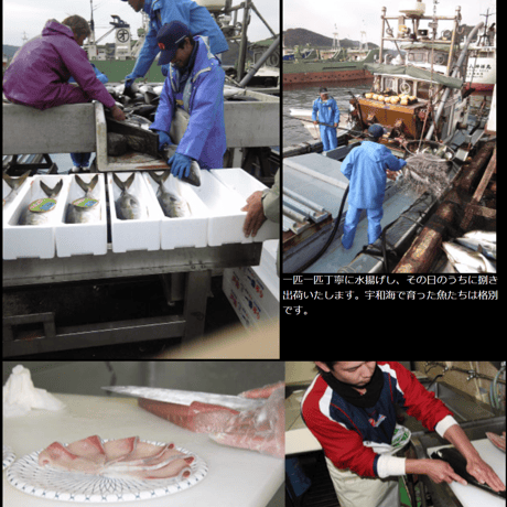 宇和島郷土料理  鯛めし 4食入りセット