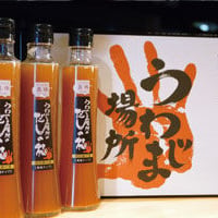 うわじま場所のだしの極 1本200ml 濃縮タイプ