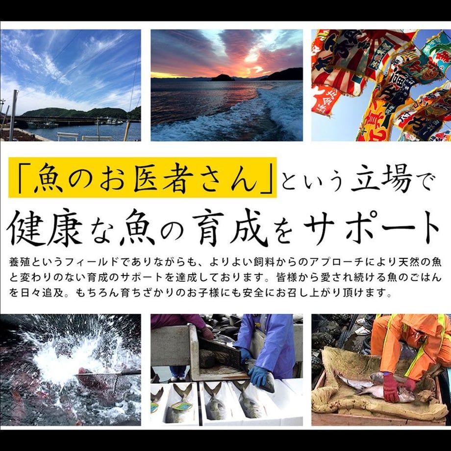 5fb6e5d78a457273e3b9a1a8