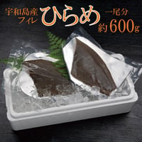 宇和島産 ヒラメ フィレ 1尾分 約600g